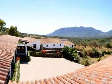 Sardinie - Agriturismo S' Ozzastru in Dorgali (6)